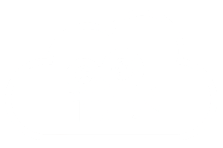 SkyyStream Logo